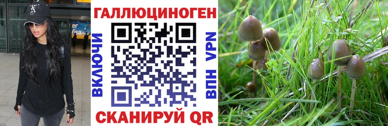 Галлюциногенные грибы GOLDEN TEACHER  Заринск 